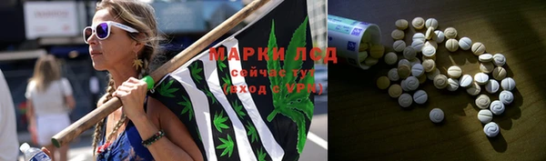 прущие грибы Богородск