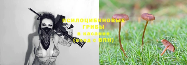 меф Богданович