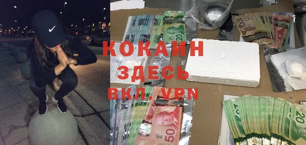 прущие грибы Богородск