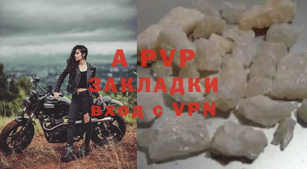 прущие грибы Богородск