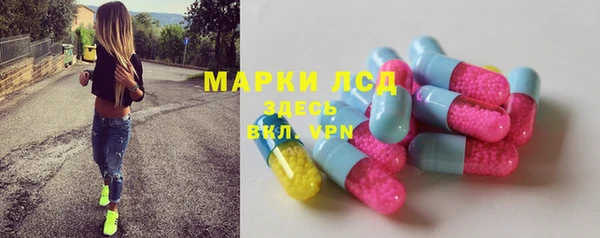 прущие грибы Богородск