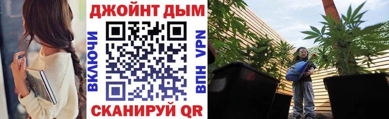 OMG маркетплейс  Кировград  Конопля сатива 